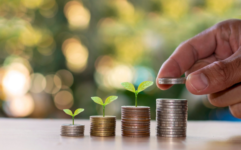 Double Entry Accounting System