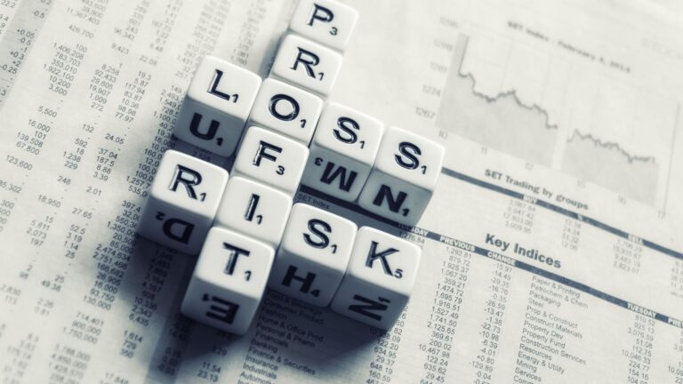 What is a Profit and Loss Statement Meant to Show?